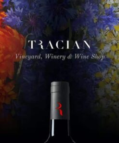 Tracian – Wine WordPress Theme